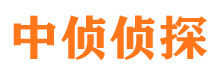 芦溪外遇出轨调查取证